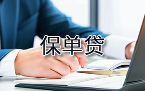 东营保单贷